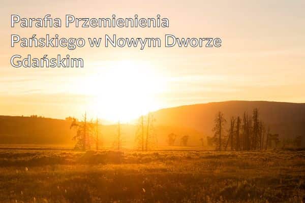 Kościół i Parafia Przemienienia Pańskiego w Nowym Dworze Gdańskim